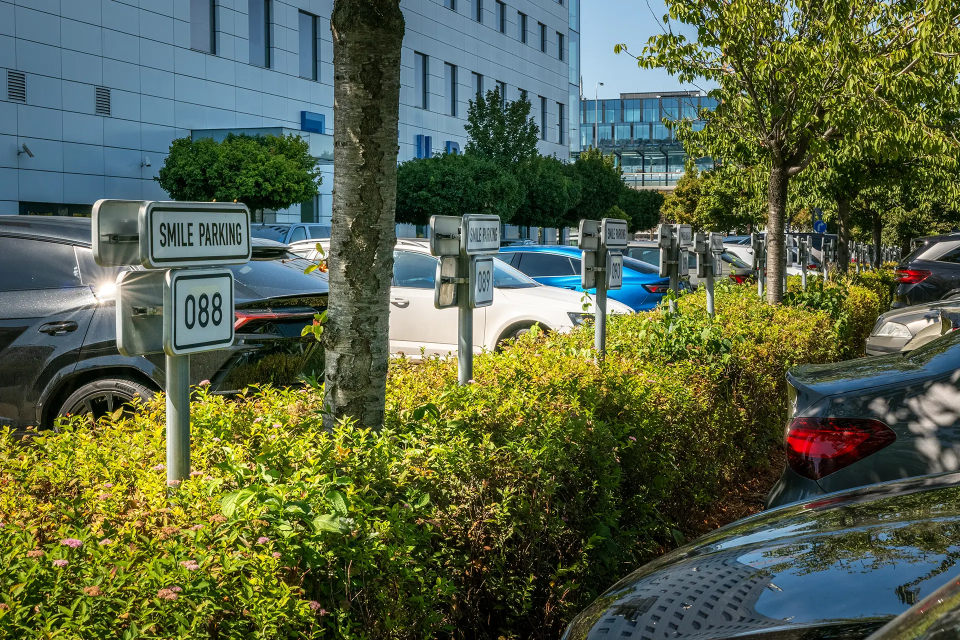 Vehicles parked in Smile Parking-reserved spots in an outdoor lot