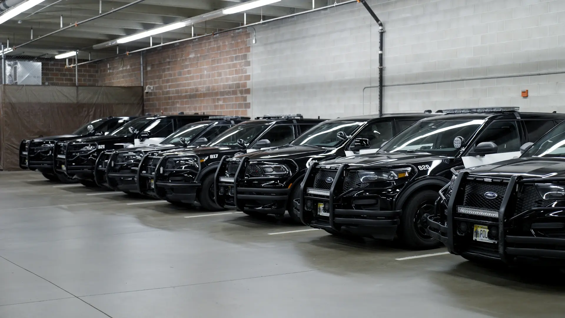 Police cars parked in a row