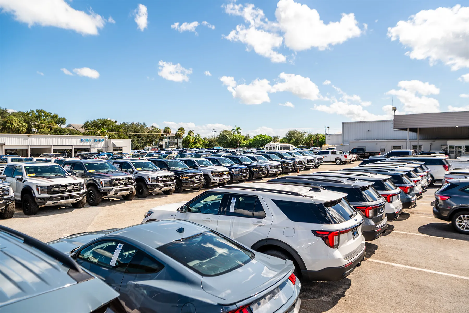 Al Packer Ford's lot with a row of vehicles